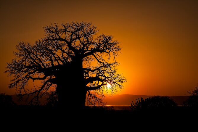 3-Day Private Safari to Lake Manyara, Tarangire & Ngorongoro - The Sum Up
