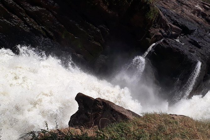 3 Day Private safari to Murchison Falls National Park with Big Five Experience - 3 Day Private Safari to Murchison Falls National Park with Big Five Experience