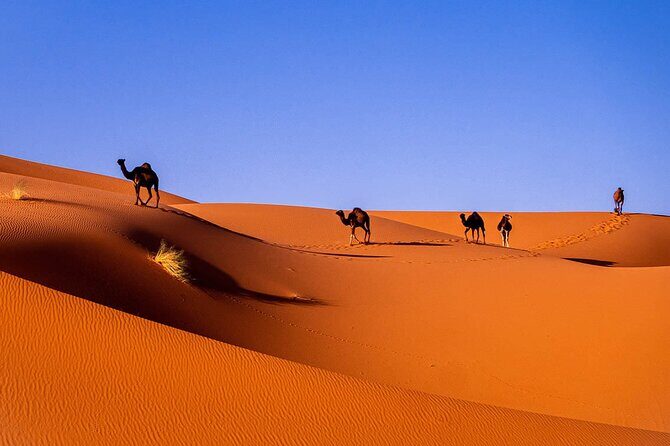 3-Day Private Sahara Desert to Merzouga from Marrakech with Licensed Guide - Day Two: From Gorges to the Sahara
