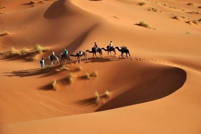 3-Day Private Sahara Desert Tour from Marrakech to Fes - In-Depth Review of the 3-Day Sahara Desert Tour from Marrakech to Fes