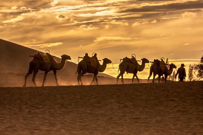 3 Day Private Silk Road Tour of Dunhuang Mogao Grottoes - Introduction: A Closer Look at the Dunhuang Silk Road Experience
