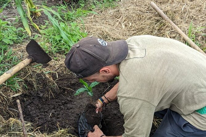 3-day-private-tour-authentic-coffee-experience-in-colombia