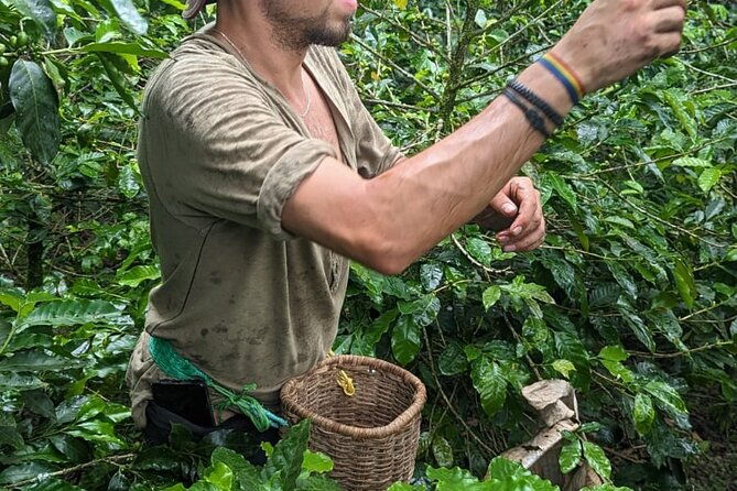 3-day-private-tour-authentic-coffee-experience-in-colombia