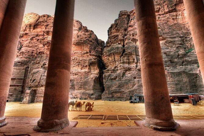 3-Day Private Tour, Explore Amman and Petra - Real Traveler Insights