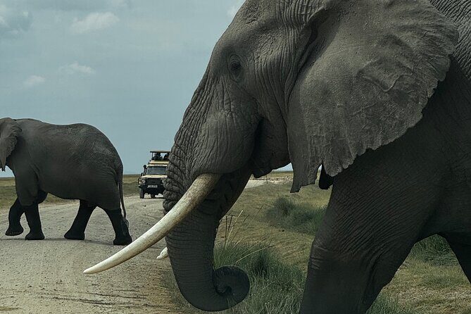 3 Day Private Tour in Maasai Mara with Lodge Luxury with Jeep - Key Points