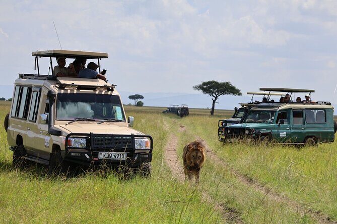 3 Day Private Tour in Maasai Mara with Lodge Luxury with Jeep - FAQ