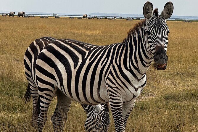 3 Day Private Tour in Maasai Mara with Lodge Luxury with Jeep - Final Thoughts