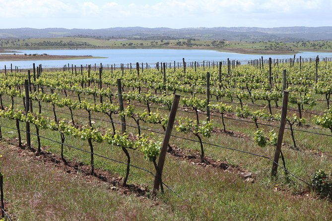 3-day-private-tour-in-the-algarve-from-lisbon