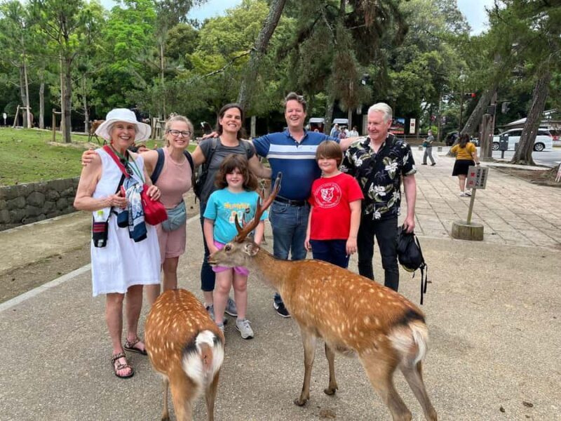 3-Day Private Tour : Kyoto, Arashiyama & Nara's Highlights - Key Points