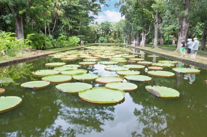 3-Day Private Tour of Mauritius with Optional Dolphin Swim - FAQ