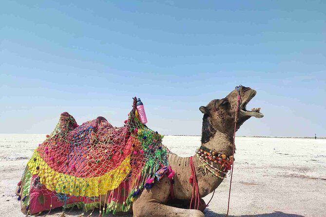 3 day private tour of Rann of Kutch from Ahmedabad - Key Points