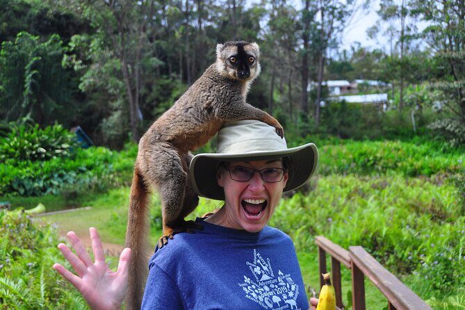3-Day Private Tour to Andasibe National Park - Detailed Look at the Itinerary