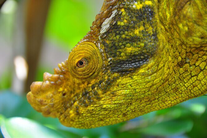 3-Day Private Tour to Andasibe National Park - Final Words