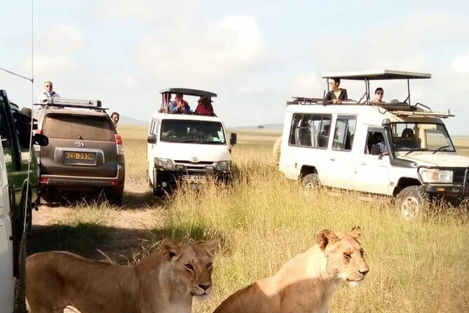 3 Day Private Wild Safari Tour in Maasai Mara - An In-Depth Look at the Maasai Mara Safari Experience