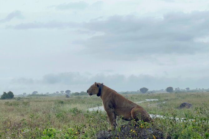 3 Day Queen Elizabeth National Park Budget Tour - Exploring the Itinerary in Detail