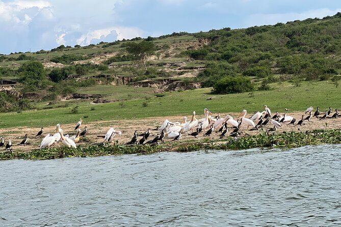3 Day Queen Elizabeth National Park Budget Tour - FAQ