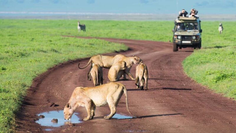 3-Day Queen Elizabeth Wildlife Safari - Key Points