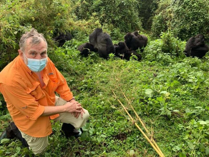 3-Day Rwanda Gorilla Safari and Golden Monkey Trek - Transport, Guides, and Accommodation