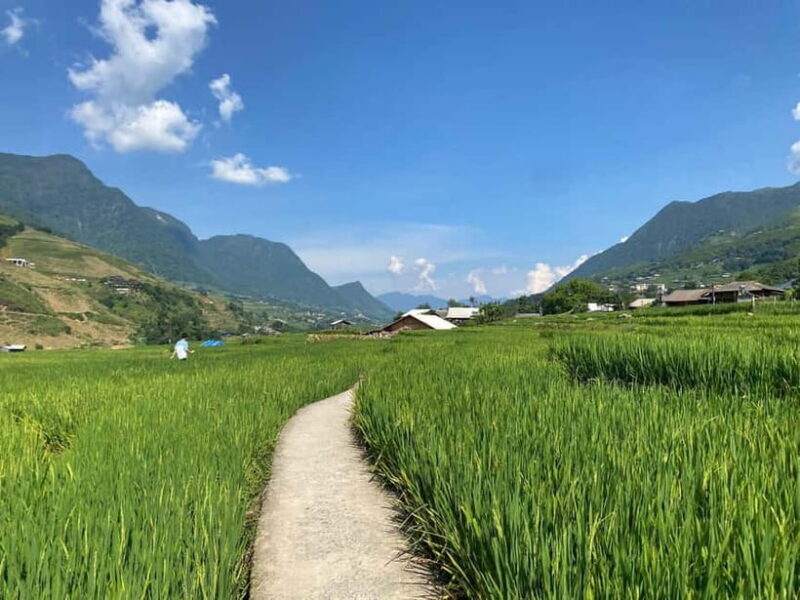 3-Day Sa Pa Trek: Villages, Rice Terraces & Bamboo Forest - Exploring the 3-Day Sa Pa Trek: Villages, Rice Terraces & Bamboo Forest