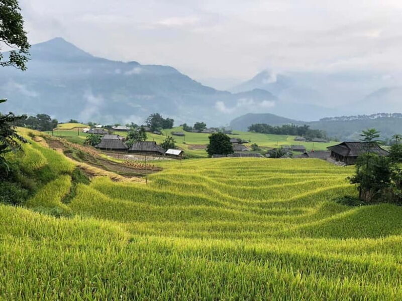 3-Day Sa Pa Trek: Villages, Rice Terraces & Bamboo Forest - Who Should Consider This Tour?