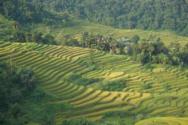 3-Day Sa Pa Trek: Villages, Rice Terraces & Bamboo Forest - Final Thoughts