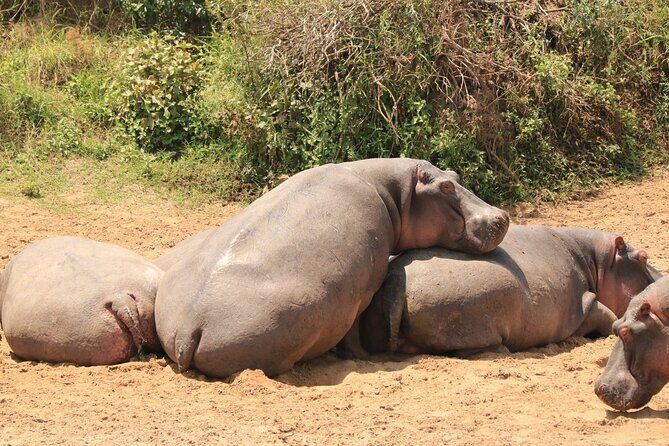 3-Day Safari in Serengeti & Ngorongoro(Mid-range) - FAQs