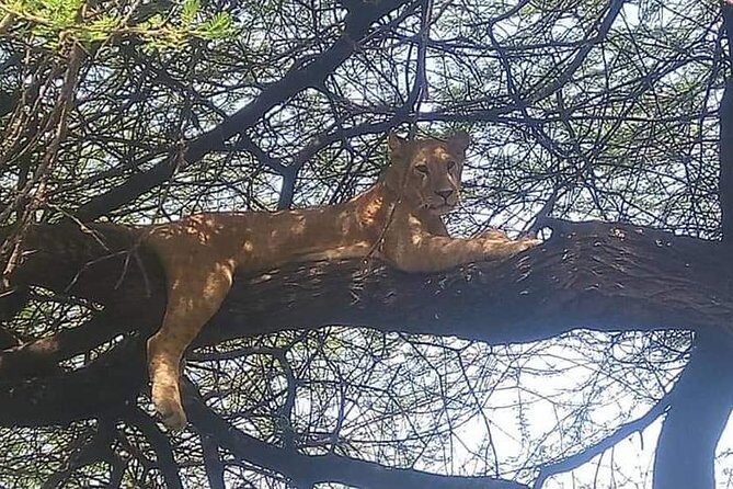 3-Day Safari to Ngorongoro, Tarangire & Lake Manyara NP - FAQ
