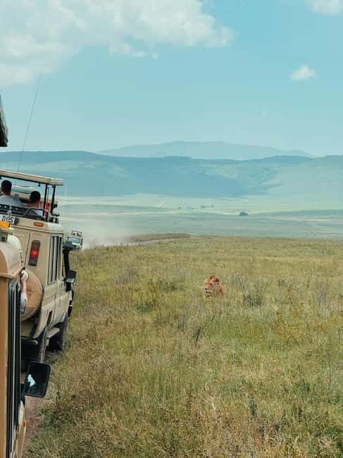 3-Day Safari to Serengeti & Ngorongoro + Balloon experience - What Makes This Tour Stand Out
