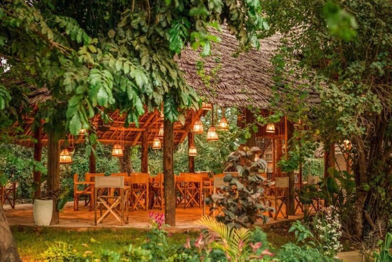 3-Day Safari to Tarangire, Ngorongoro, & Kilimanjaro - An In-Depth Look at the 3-Day Tanzanian Safari  