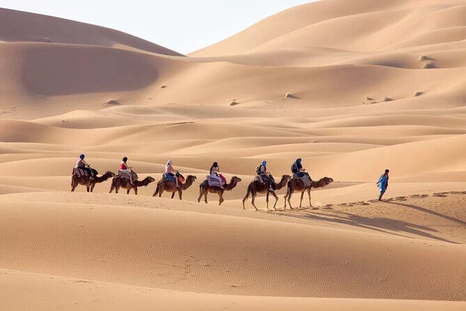 3-Day Sahara Adventure: Marrakech to Fez via Merzouga - Price and Value  