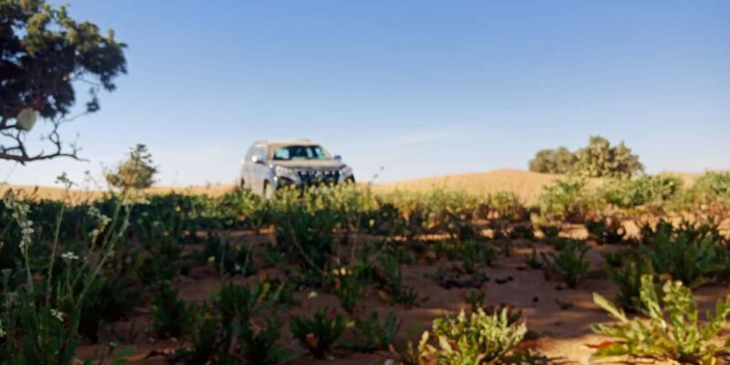 3-Day Sahara Desert Adventure From Ouarzazate to Erg Chegaga - FAQs