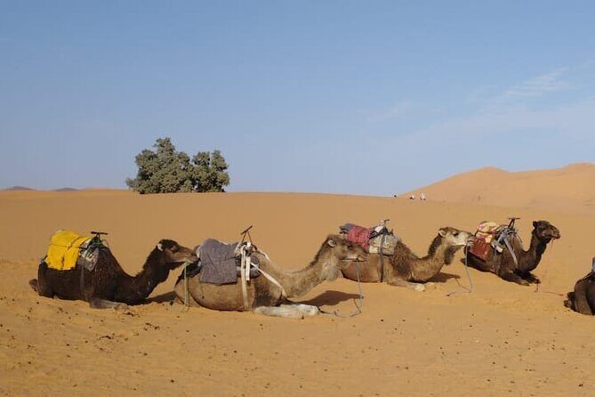 3-Day Sahara Desert Tour: Marrakech to Merzouga - The Complete Breakdown of the 3-Day Marrakech to Merzouga Tour