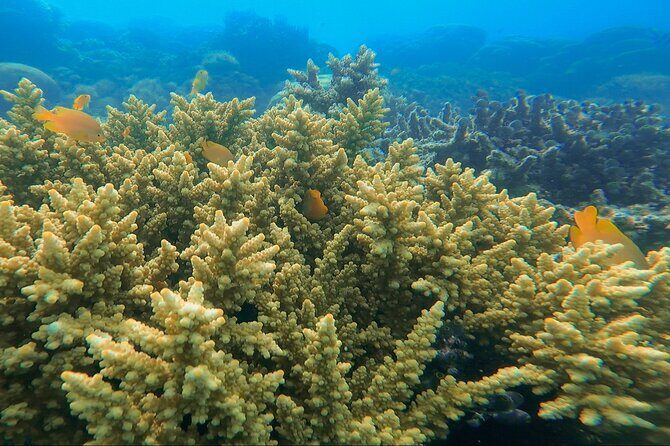 3-Day Sailing Adventure Around Komodo National Park - Who Is This Tour Best For?