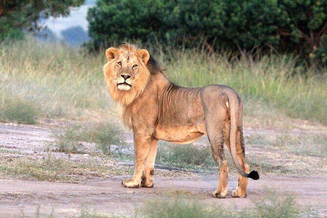 3-Day Samburu Luxury Safari - Practical Details: What You Need to Know