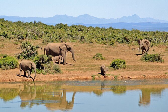 3 Day Samburu Safari - Authentic Encounters & Tips from Reviewers