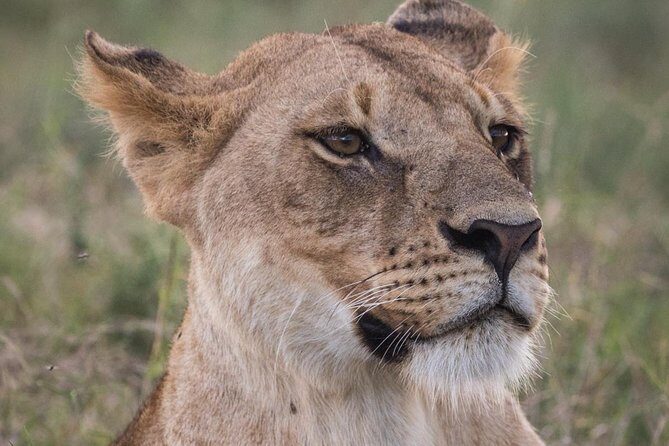 3-Day Selous Reserve mid-Range Safari - Key Points
