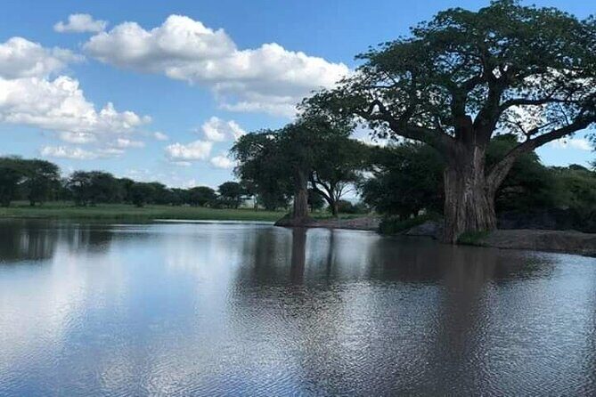 3-Day Serengeti NP & Ngorongoro Crater Safari - The Experience in Detail