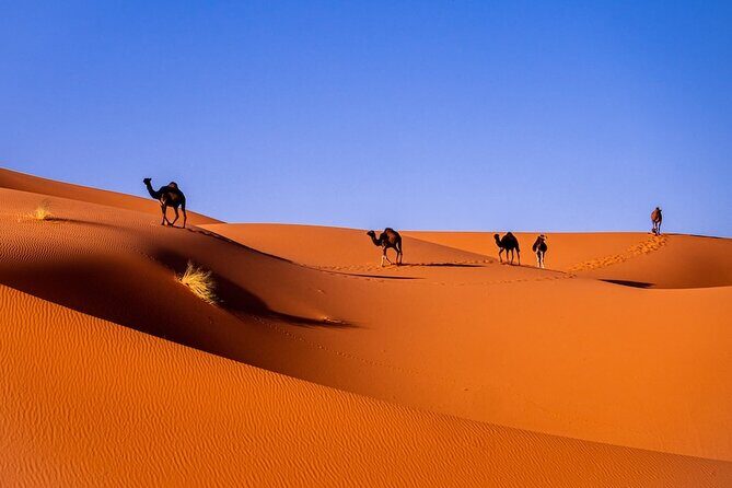 3-Day Shared Tour to Merzouga: Sahara Magic & Camel Trek - Key Points