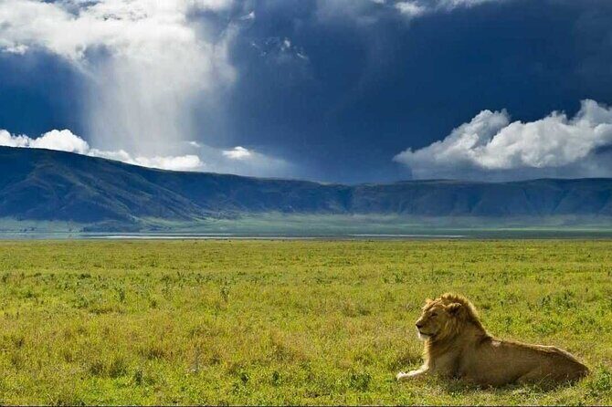 3 Day Sharing Safari - Manyara, Ngorongoro Crater and Tarangire National Parks - A Close-Up Look at the 3-Day Sharing Safari: Manyara, Ngorongoro, and Tarangire