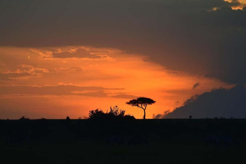 3-Day Small Group Safari to Maasai Mara: Adventure Awaits - Who Would Love This Tour?