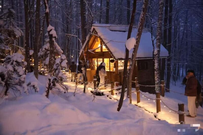 3-Day Small-Group Tour: Sapporo, Asahikawa, Furano & Otaru - Who Would Enjoy This Experience?