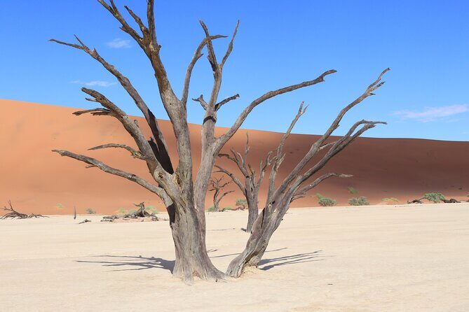 3 Day Sossusvlei Camping Schedule and Sandwich Habor - Discovering Namibia’s Oldest Desert