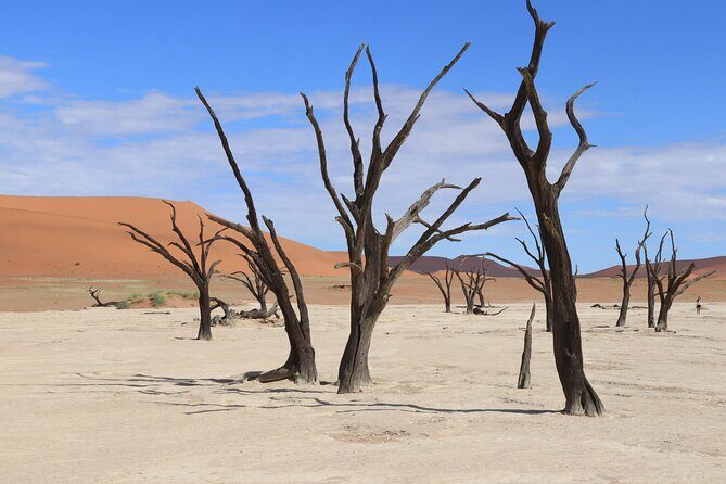 3 Day Sossusvlei Camping Schedule and Sandwich Habor - Practical Considerations