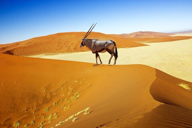 3-Day Sossusvlei Express Accommodated Safari from Swakopmund - Key Points
