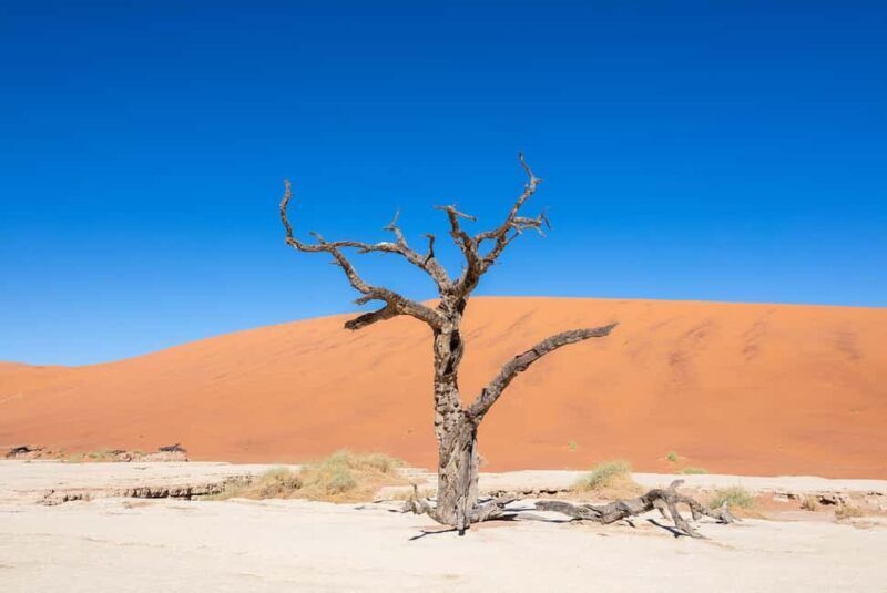 3 Day Sossusvlei | Private Guided Camping - Key Points