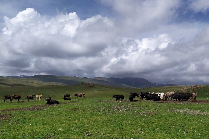 3-day summer trip to Son-Kul and Issyk-Kul lakes - Who Will Love This Tour?