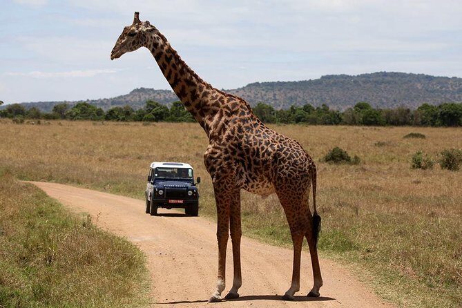 3-Day Sweetwaters: Ol Pejeta Conservancy Safari from Nairobi - The Tour Itinerary