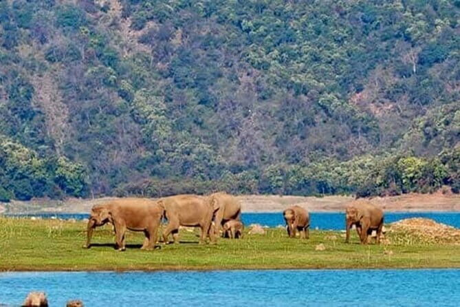 3 Day Taj Mahal and Jim Corbett National Park Safari Tour - Practical Aspects of the Tour