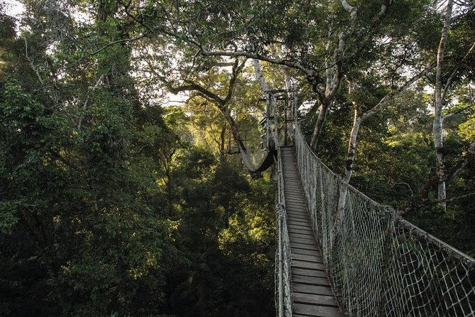 3-day-tambopata-amazon-jungle-tour-at-inkaterra-reserva-amazonica