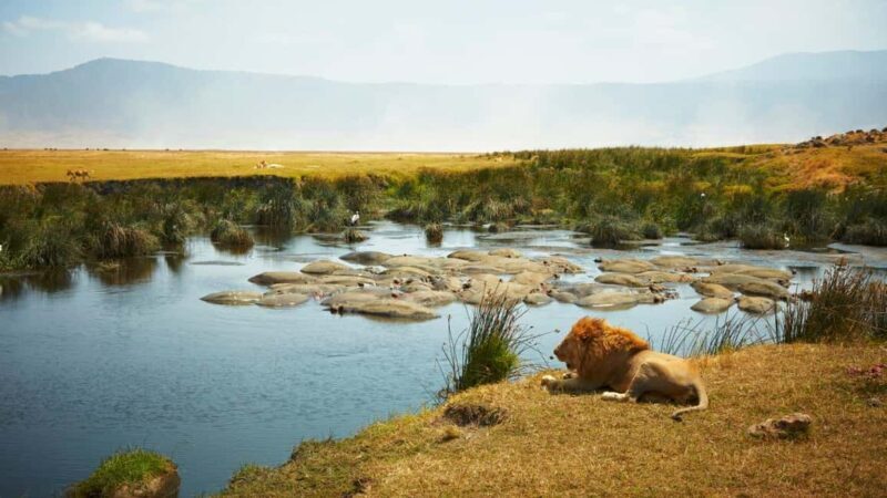 3 Day Tanzania Safari - What Sets This Tour Apart?  
